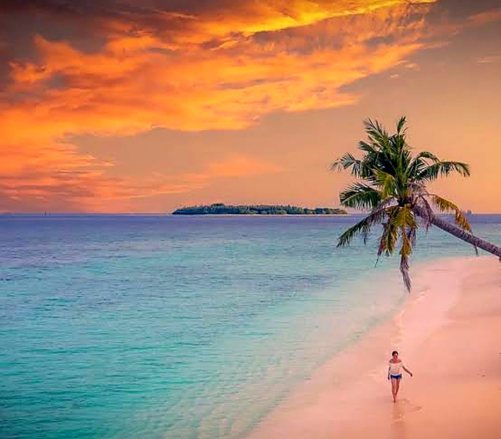 Sunset over a palm-fringed beach in Mauritius